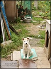 dailyPhoto7